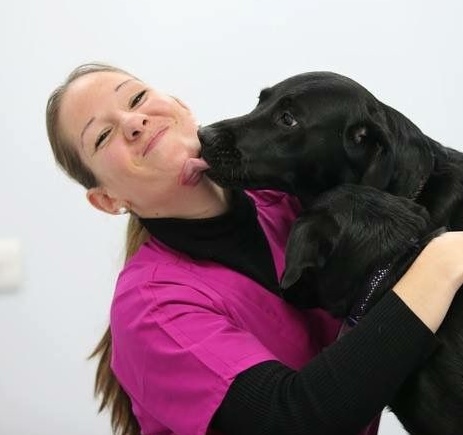 Emma Wilkes, veterinary surgeon and founder of Till We Meet Again